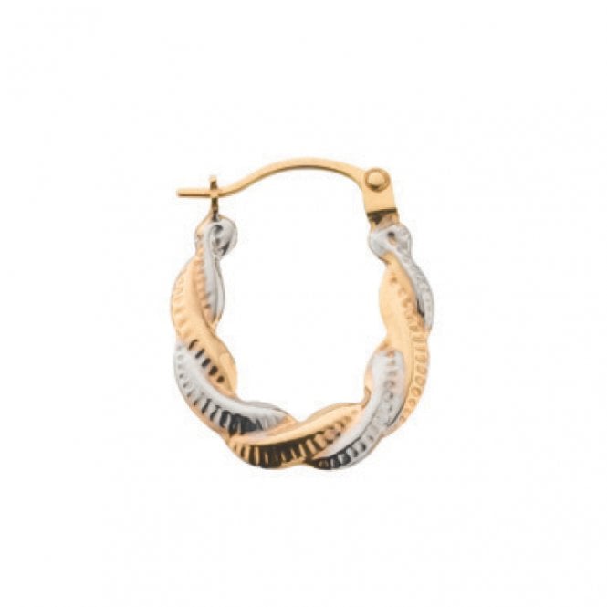 9ct Yellow and White Gold Twists Earrings